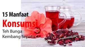 15 Manfaat Konsumsi Teh Bunga Kembang Sepatu
