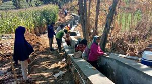 Padat Karya desa bicek todanan blora