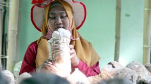 Aryati-Budidaya-Jamur-Teman-1