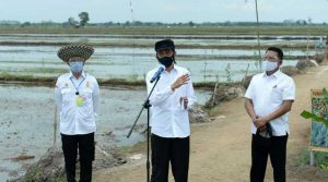 Kunjungan-presiden-Food-Estate