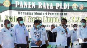 Panen-Raya