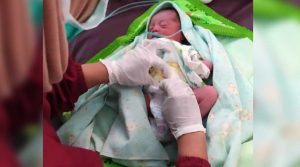 Pembungan Bayi-jurnaljateng.id