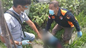 Korban-Jebakan-Tikus-jurnaljateng.id