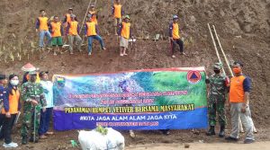 Penanaman Rumput Vetiver di lereng tebing