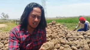 Paidi petani dan guru porang